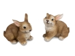 Hase braun
